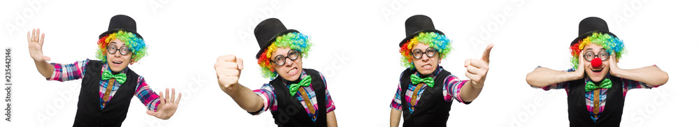Clown isolated on the white background Clown isolated on the white background