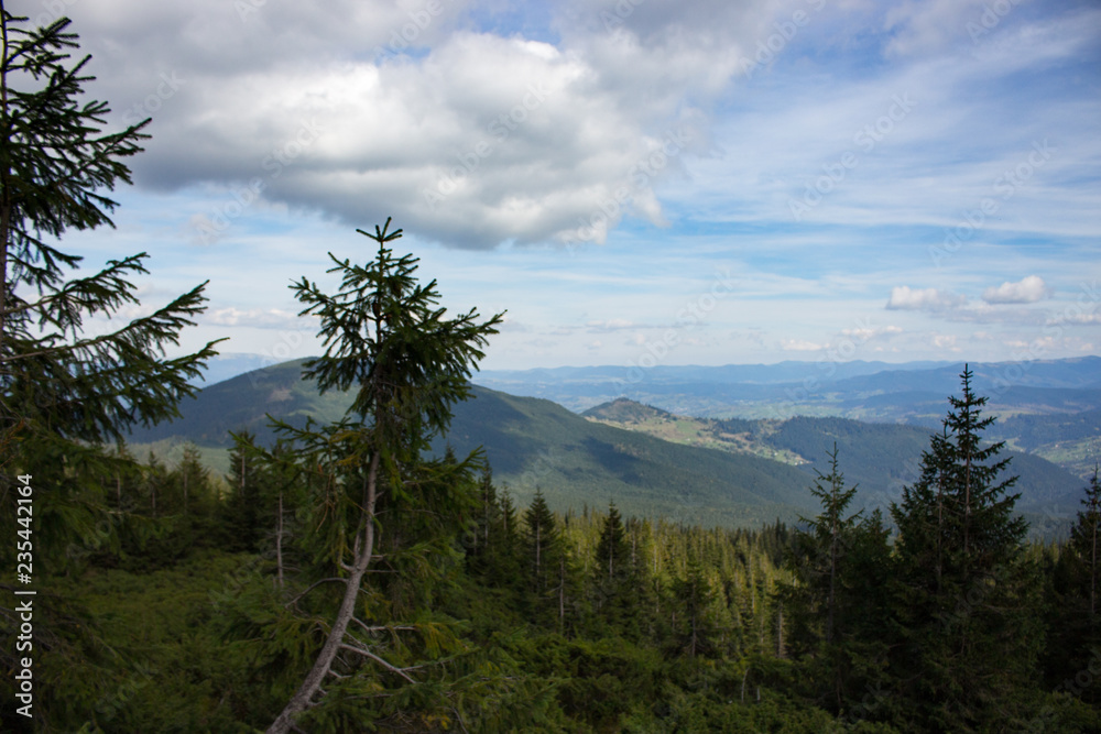 Wonderful view of Carpathians mountains with coniferous trees foreground. Evergreen forest hills. Carpathians mountains landscape. Beauty of nature concept. Mountains with beautiful sky and clouds. 