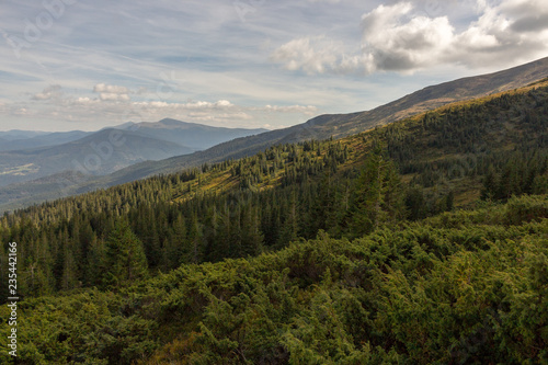 Wonderful panoramic view of Carpathians mountains, Ukraine. Mount Hoverla with big evergreen forest hill foreground. Carpathians bsckground. Scenic mountains view. Hills with coniferous forest. Nature © Nataliia