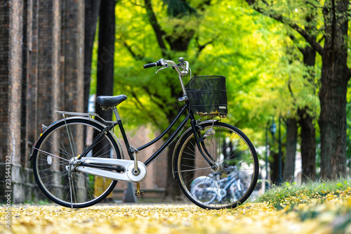 bicycle parked in the park, among the fields of Ginkgo tree. The Bam is full of gardens. Beautiful to relax. Fitness concept Make a vintage tint © zasabe