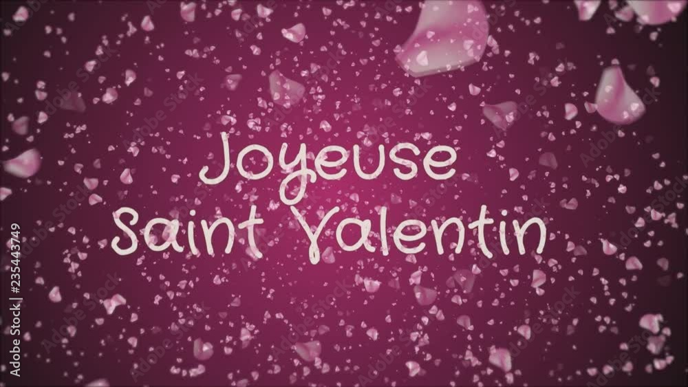 Animation Joyeuse Saint Valentin, Happy Valentine's day in french language, greeting card, falling pink petals, pink background