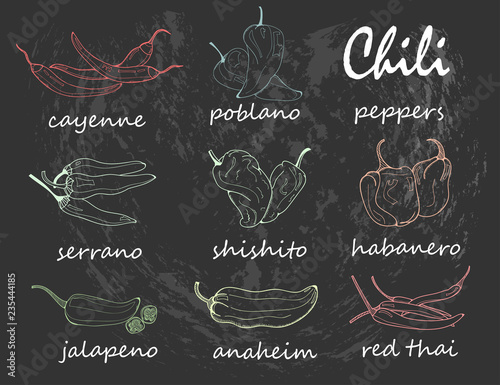 Hand drawn chili peppers. Graphic vector set. Chalkboard style. Colored chalk. All elements are isolated