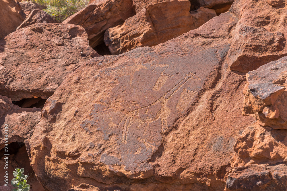 Ancient rock engravings in Twyfelfontein, Damaraland, Namibia.