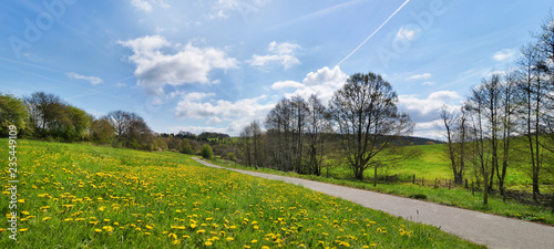 Banner mit Landschaft in der Eifel im Frühling