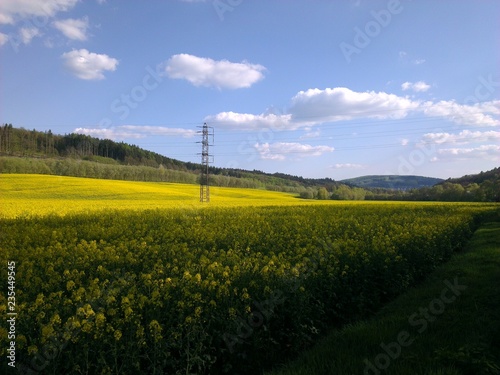 Rape field