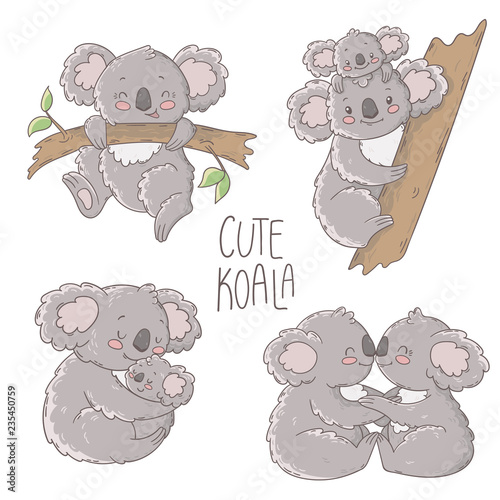 Cute koala illustration, vector set.