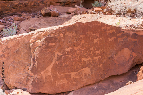 Ancient rock engravings in Twyfelfontein, Damaraland, Namibia.