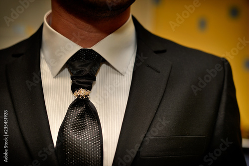 Expensive suit. Classically tie and luxury tie clip