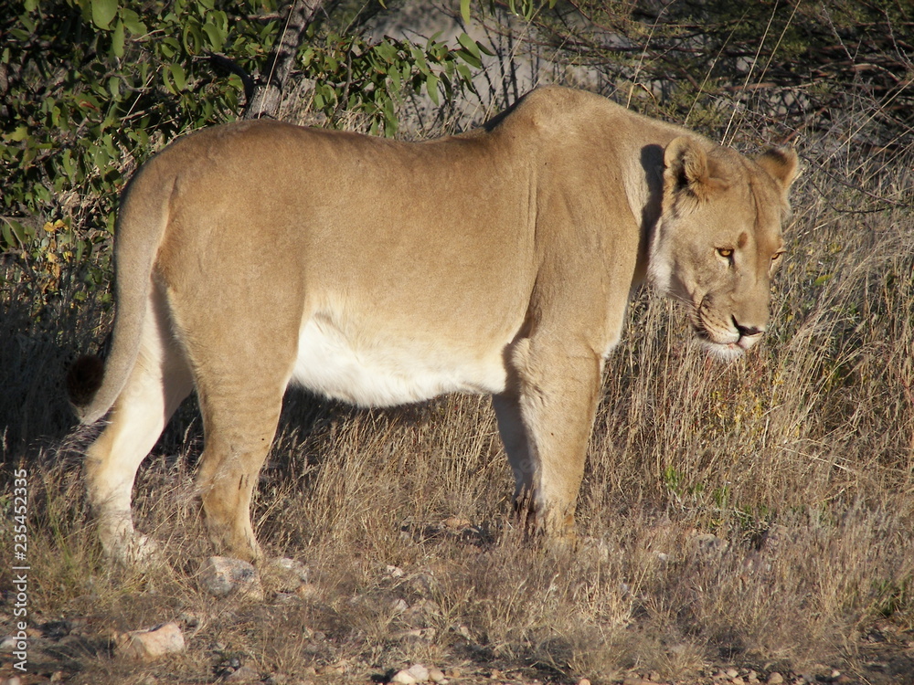 Afrika Reisen