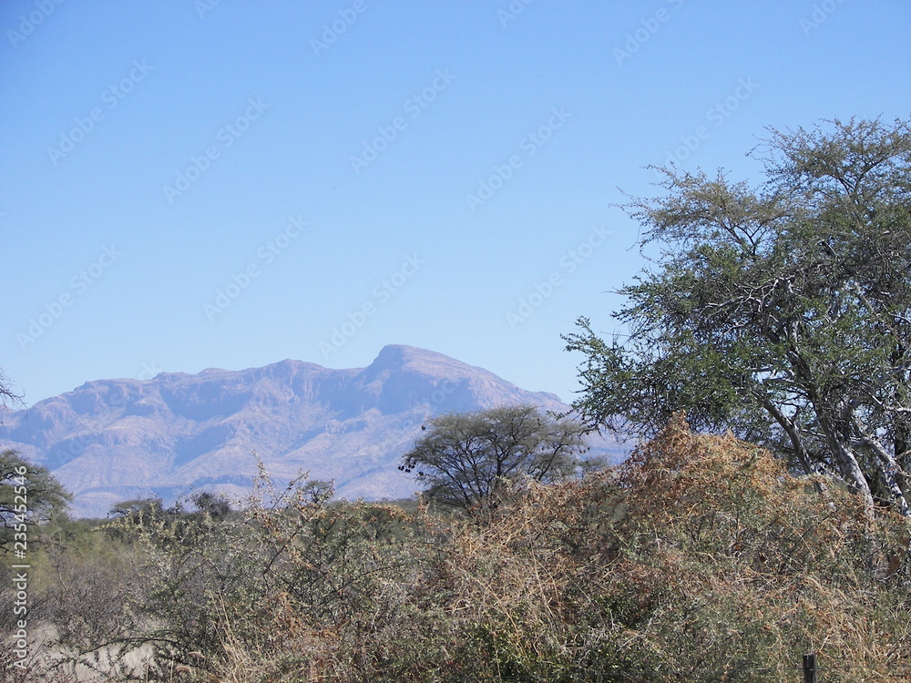 Fototapeta premium Afrika