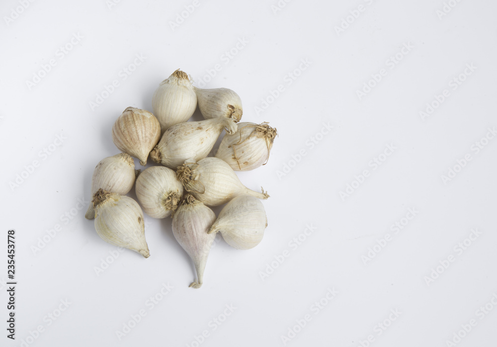 Lonely garlic - Special garlic in central of Vietnam Lonely garlic - Special garlic in central of Vietnam