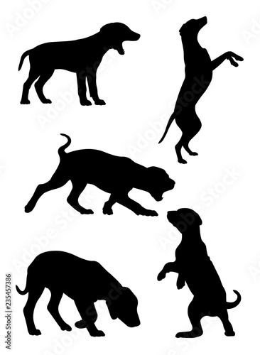 Dalmatian dog pet animal silhouette 02. Good use for symbol, logo, web icon, mascot, sign, or any design you want.