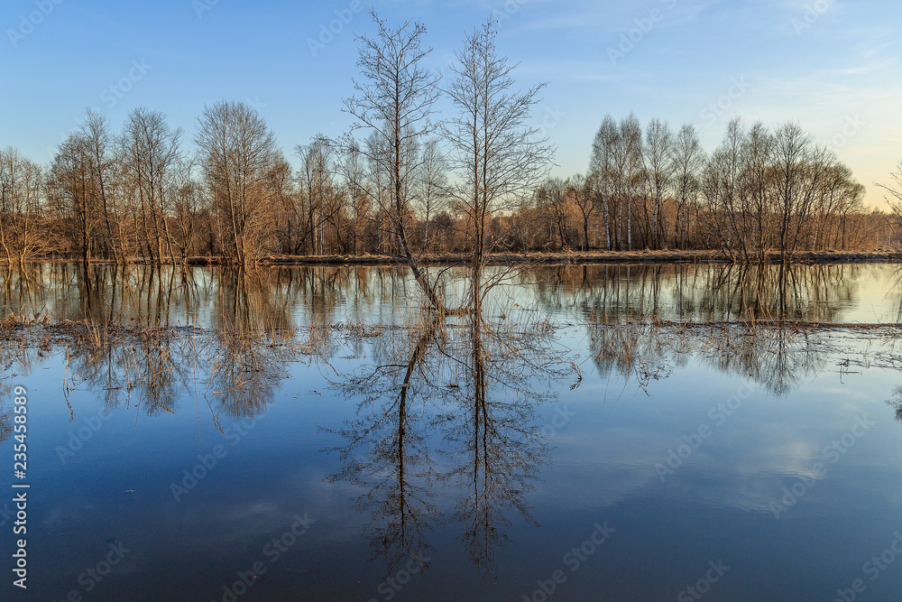 The river overflowed and flooded trees and lowlands
