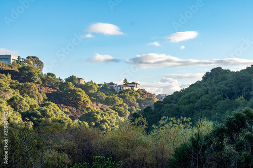 Houses on a Forested Hill in a Suburb, Belmont, California
