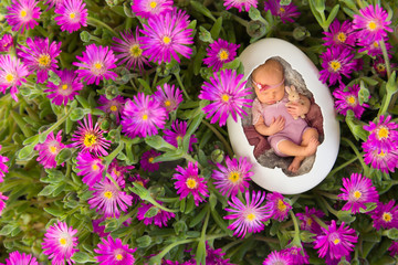 Newborn baby sleeping in an egg in pink iceplant