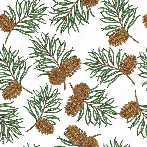 Fototapeta Naklejka Na Ścianę i Meble -  Seamless pattern with hand drawn pine cones and branches. Vector illustration engraved. Christmas plants design.