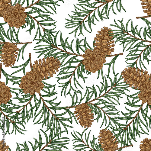 Fototapeta Naklejka Na Ścianę i Meble -  Seamless pattern with hand drawn pine cones and branches. Vector illustration engraved. Design for Christmas greeting cards and packaging.