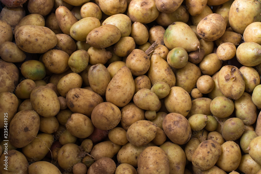 Potato harvest in a box Potato harvest in a box