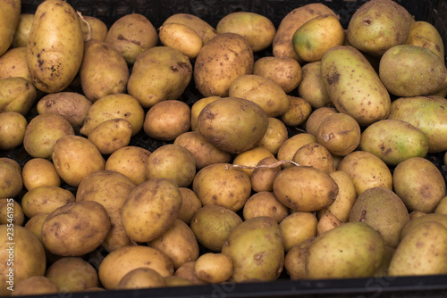 Potato harvest in a box