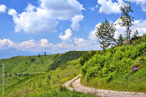 Summer green landscape in Levoca mountains  Slovakia