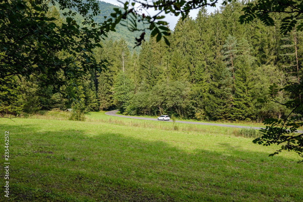 multi level fields and forests in mountain area