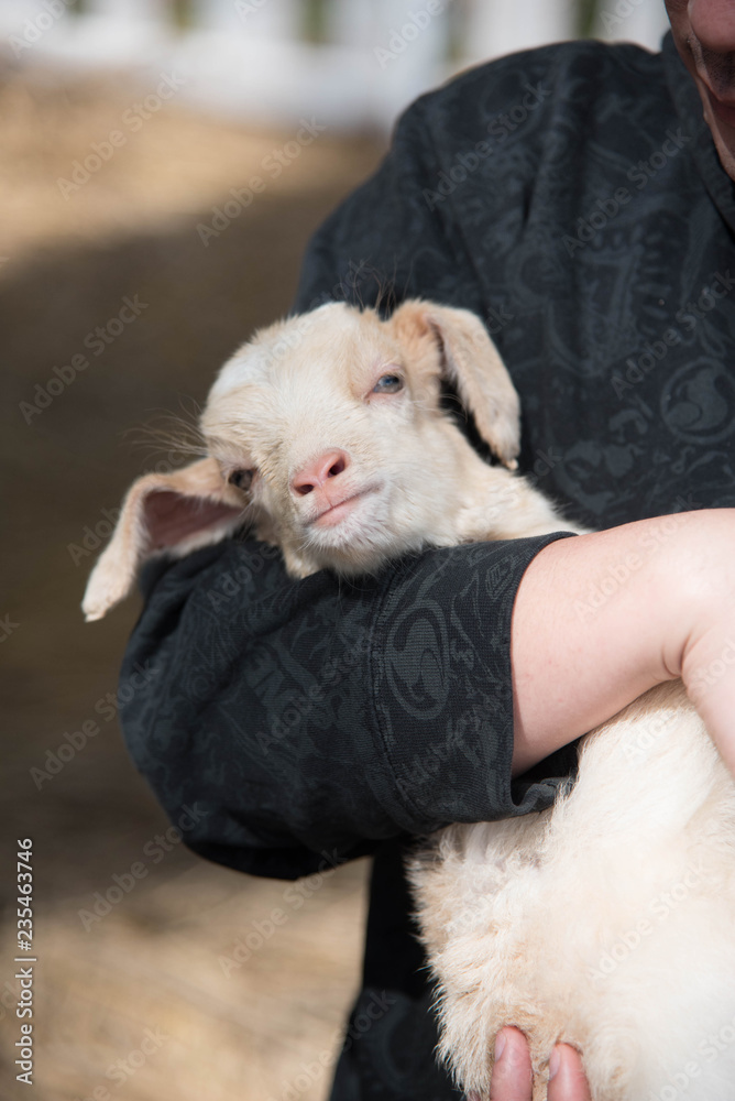 Man hug small white goat