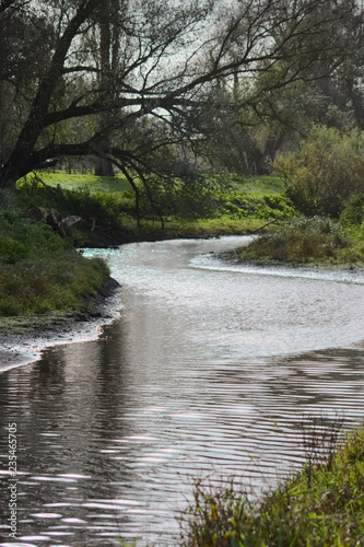 Ruhig fließender Fluss durchquert eine grüne Landschaft und versorgt die Pflanzen mit dem Lebenselixier Wasser
