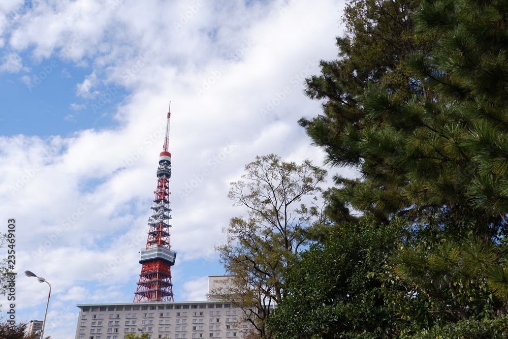 Obraz premium 東京タワーと秋の空