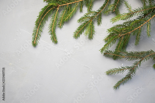 Christmas Tree Pine Branches on a light background.
