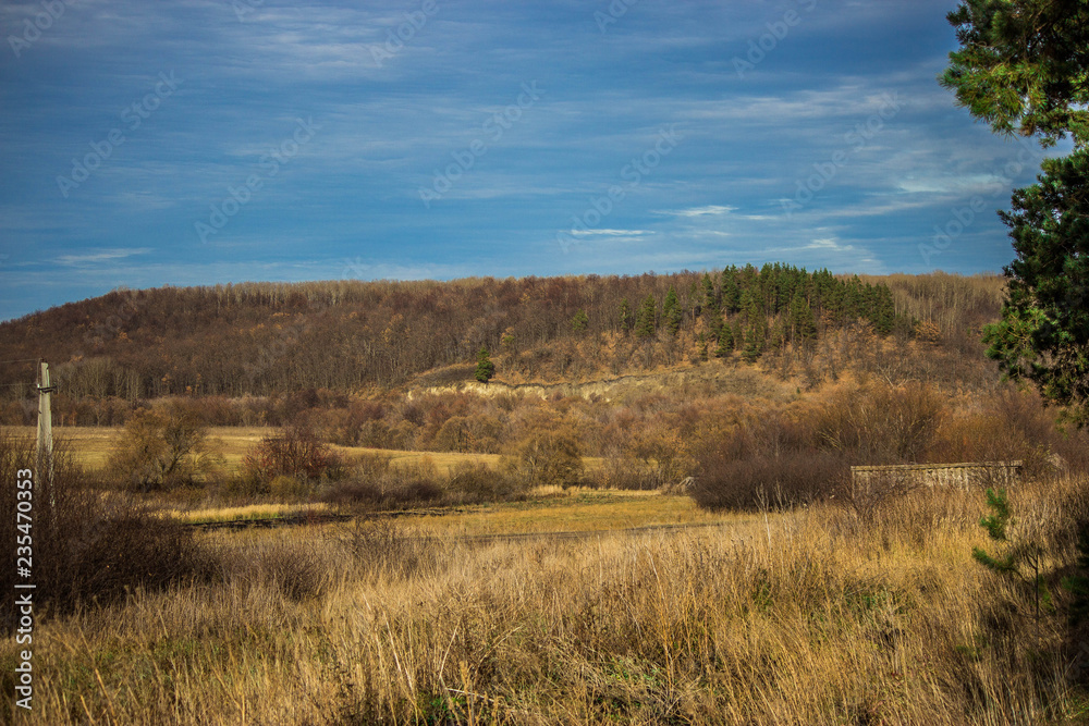 forest autumn landscape forest autumn landscape