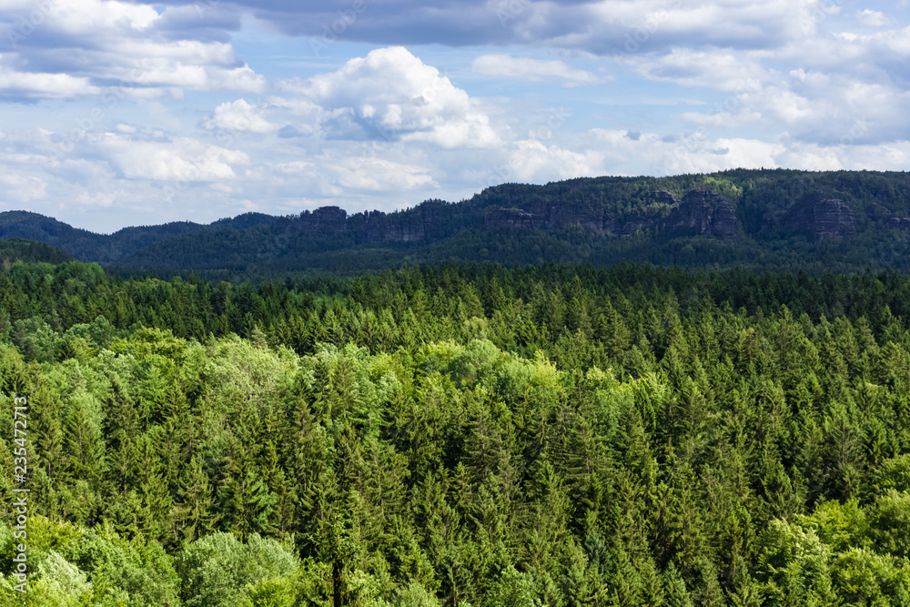 Fototapeta premium View over Kirnitzschtal valley from the cowshed (german: Kuhstall), Saxony, Germany
