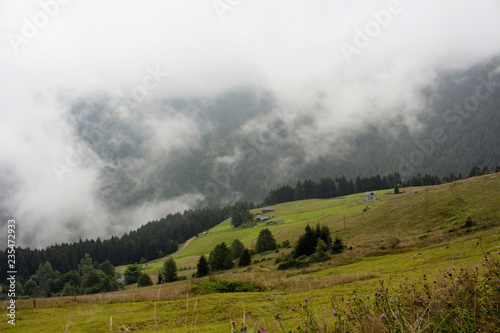 View of high plateau village at mountain and forest in fog creating beautiful nature scene. The image is captured in Trabzon/Rize area of Black Sea region located at northeast of Turkey.