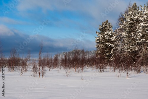 Winter sunny day on Lake Vodlozero in the Vodlozersky National Park in Karelia (Russia) photo