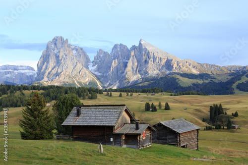 Alpe di Suisi - Dolomites - Italie