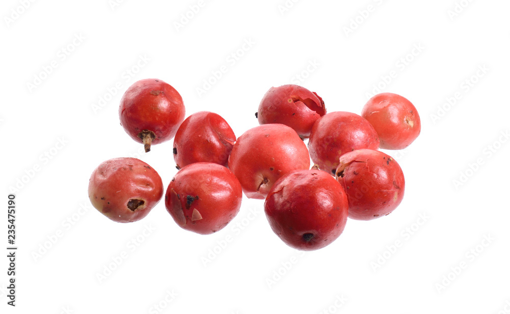 Schinus terebinthifolia or Brazilian peppertree, aroeira or rose pepper, broadleaved pepper tree, wilelaiki or wililaiki, Christmasberry and Florida Holly isolated. Schinus terebinthifolia or Brazilian peppertree, aroeira or rose pepper, broadleaved pepper tree, wilelaiki or wililaiki, Christmasberry and Florida Holly isolated.