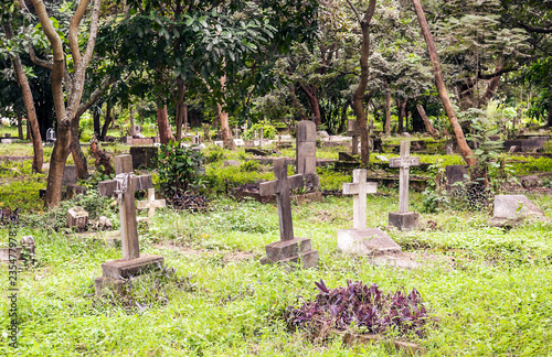 Cemetery in the forests of Tanzania photo