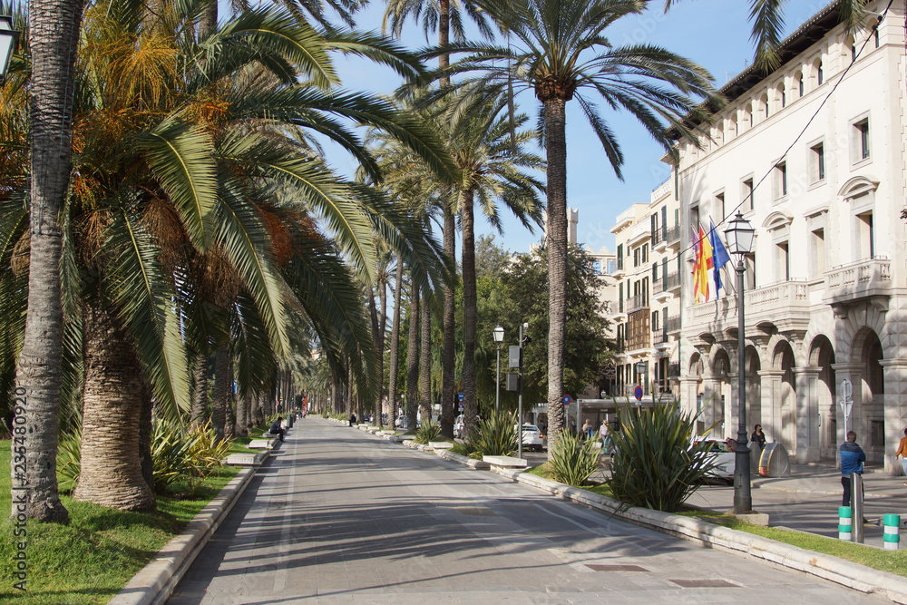 palma de mallorca