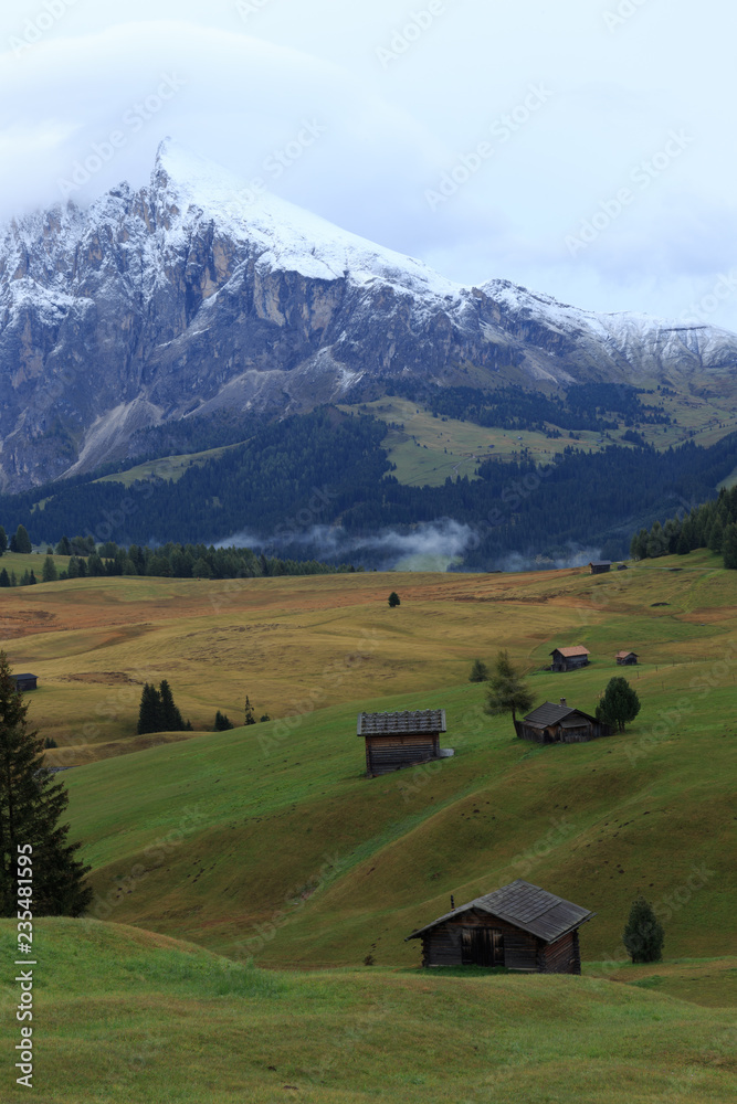 Alpe di Suisi - Dolomites - Italie