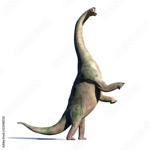 Fototapeta Naklejka Na Ścianę i Meble -  Brachiosaurus altithorax from the Late Jurassic in action (3d illustration isolated with shadow on white background)