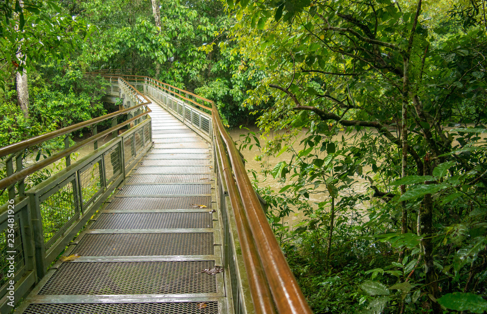 Iguazu river Iguazu falls Tropica forest Argentina Iguazu river Iguazu falls Tropica forest Argentina