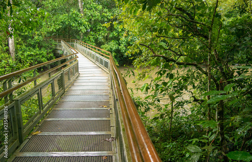 Iguazu river Iguazu falls Tropica forest Argentina