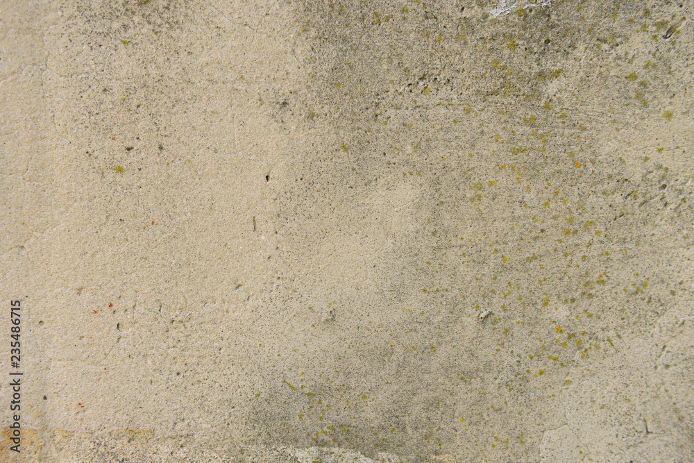 texture of old concrete surface with mold and moss texture of old concrete surface with mold and moss