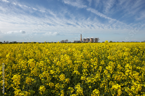 EGGBOROUGH POWER STATION WITH FIELD OF RAPE SEED YORKSHIRE ENGLAND photo