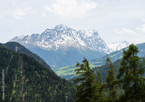 Mountain meadow view with cows in canton of Graubunden, Switzerland