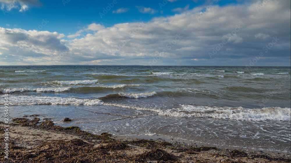 baltic sea nature coastline autumn landscape scene baltic sea nature coastline autumn landscape scene