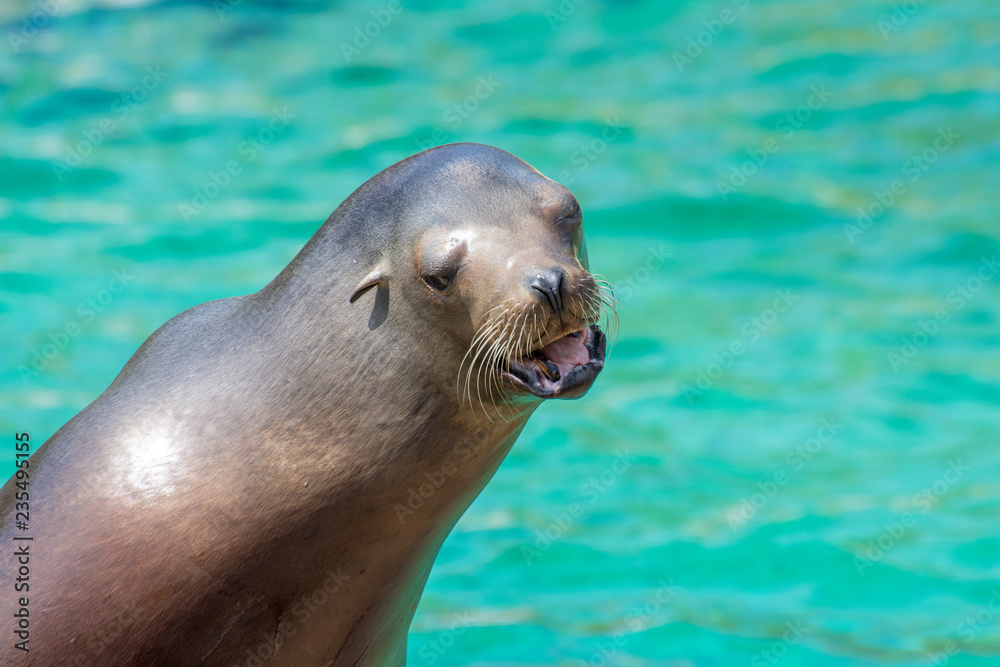 Obraz premium Peaugres