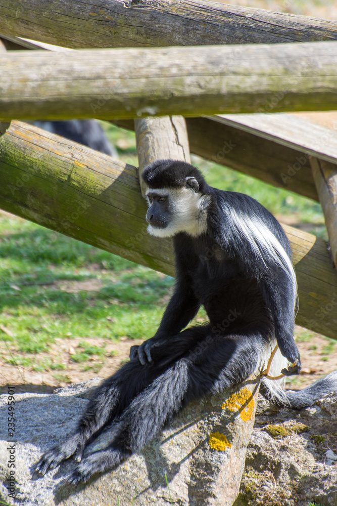 Obraz premium Peaugres