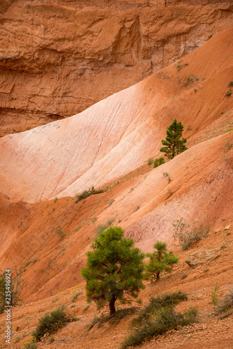 Erodierter Sandsteinhang und Fels, Bryce Canyon National Park, Utah, USA