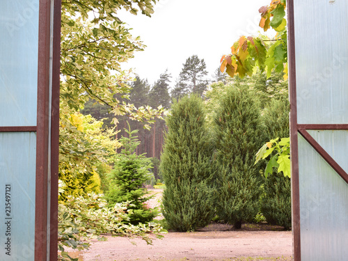 open the door