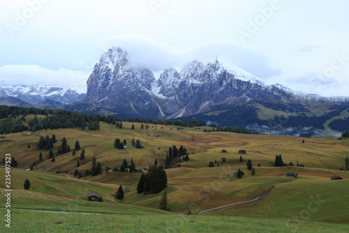 Alpe di Suisi - Dolomites - Italie